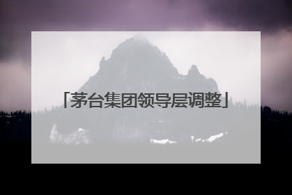 茅台集团领导层调整
