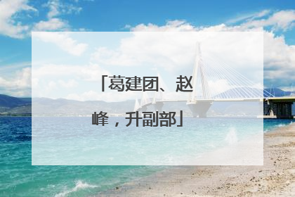 葛建团、赵峰，升副部