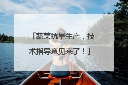 蔬菜抗旱生产，技术指导意见来了！