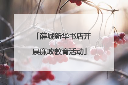 薛城新华书店开展廉政教育活动