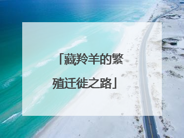 藏羚羊的繁殖迁徙之路