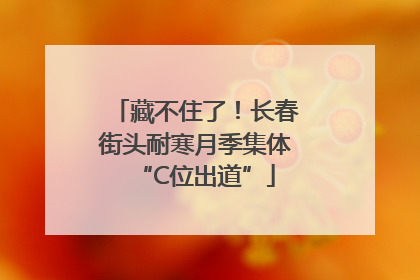 藏不住了！长春街头耐寒月季集体“C位出道”