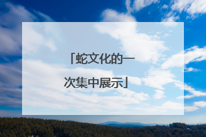 蛇文化的一次集中展示