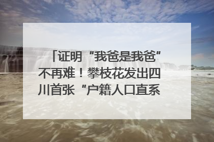 证明“我爸是我爸”不再难！攀枝花发出四川首张“户籍人口直系亲属关系谱”