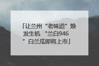 让兰州“老味道”焕发生机 “兰白946”白兰瓜即将上市