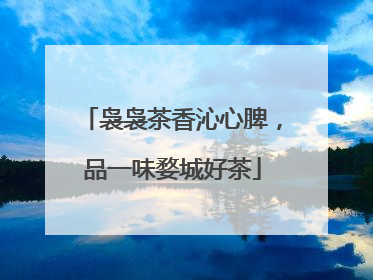 袅袅茶香沁心脾，品一味婺城好茶