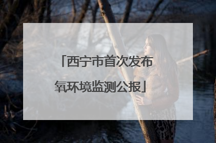 西宁市首次发布氧环境监测公报