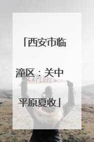 西安市临潼区：关中平原夏收