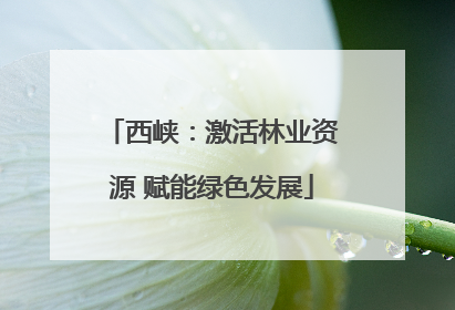 西峡：激活林业资源 赋能绿色发展