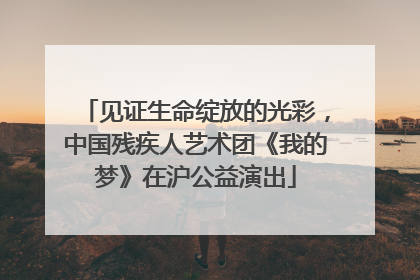 见证生命绽放的光彩，中国残疾人艺术团《我的梦》在沪公益演出