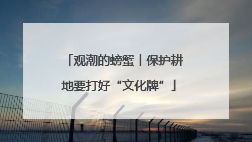 观潮的螃蟹丨保护耕地要打好“文化牌”