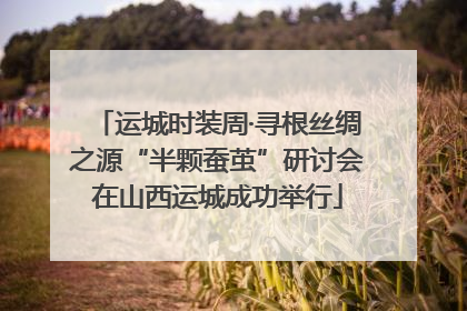 运城时装周·寻根丝绸之源“半颗蚕茧”研讨会在山西运城成功举行