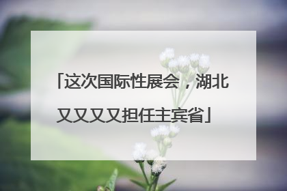 这次国际性展会，湖北又又又又担任主宾省