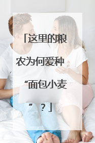 这里的粮农为何爱种“面包小麦”？