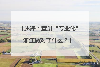 述评：宣讲“专业化” 浙江做对了什么？
