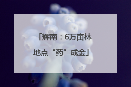 辉南：6万亩林地点“药”成金