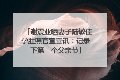 谢震业晒妻子陆敏佳孕肚照官宣喜讯：记录下第一个父亲节