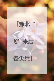 豫北“飞”来后备尖兵