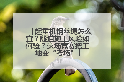 起重机钢丝绳怎么查？隧道施工风险如何验？这场竞赛把工地变“考场”