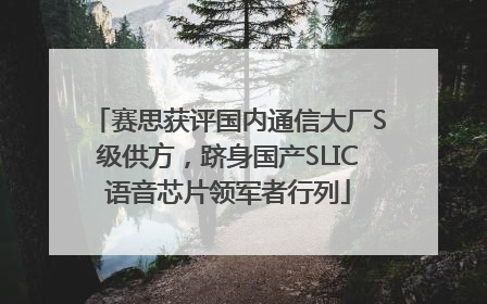 赛思获评国内通信大厂S级供方，跻身国产SLIC语音芯片领军者行列