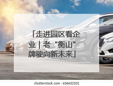 走进园区看企业｜老“衡山”牌驶向新未来