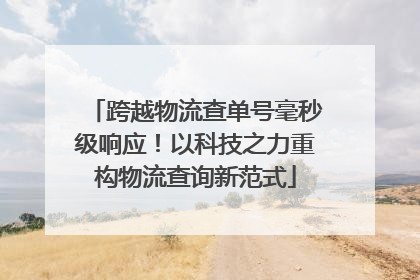 跨越物流查单号毫秒级响应！以科技之力重构物流查询新范式
