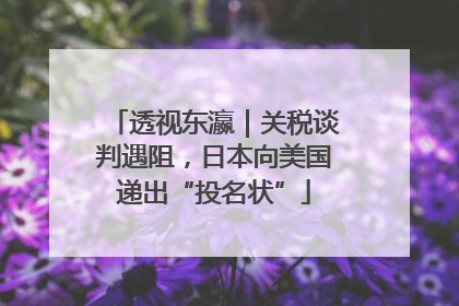 透视东瀛｜关税谈判遇阻，日本向美国递出“投名状”