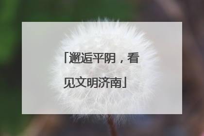 邂逅平阴，看见文明济南