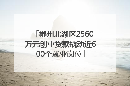 郴州北湖区2560万元创业贷款撬动近600个就业岗位