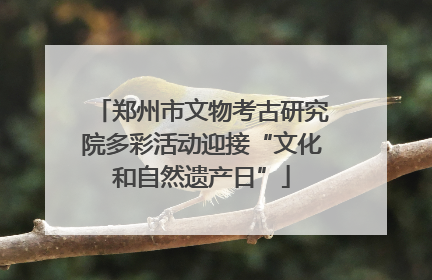 郑州市文物考古研究院多彩活动迎接“文化和自然遗产日”