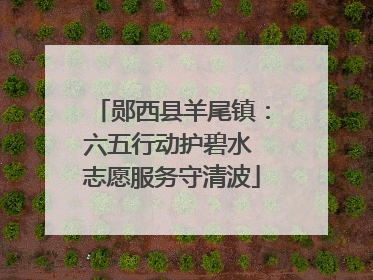 郧西县羊尾镇：六五行动护碧水 志愿服务守清波