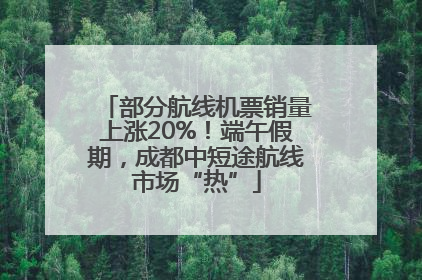 部分航线机票销量上涨20%！端午假期，成都中短途航线市场“热”