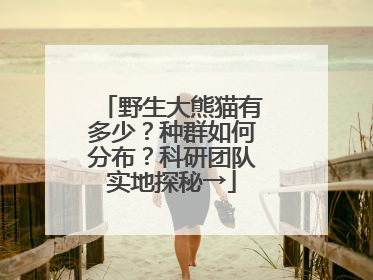 野生大熊猫有多少？种群如何分布？科研团队实地探秘→