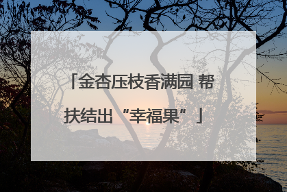 金杏压枝香满园 帮扶结出“幸福果”