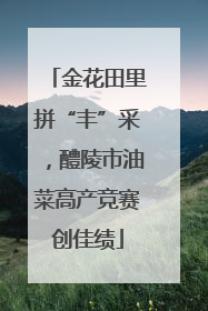 金花田里拼“丰”采，醴陵市油菜高产竞赛创佳绩