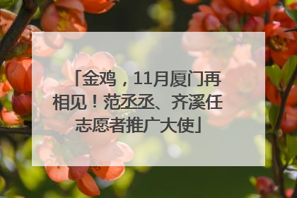 金鸡，11月厦门再相见！范丞丞、齐溪任志愿者推广大使