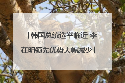 韩国总统选举临近 李在明领先优势大幅减少