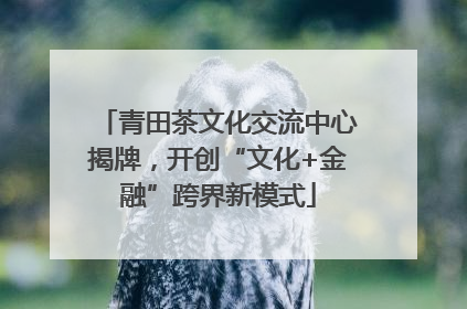 青田茶文化交流中心揭牌，开创“文化+金融”跨界新模式