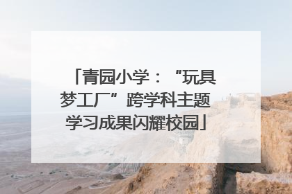 青园小学：“玩具梦工厂”跨学科主题学习成果闪耀校园