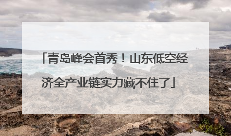 青岛峰会首秀！山东低空经济全产业链实力藏不住了