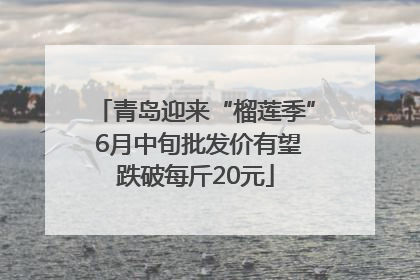 青岛迎来“榴莲季” 6月中旬批发价有望跌破每斤20元