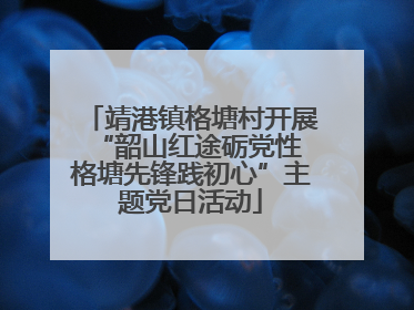 靖港镇格塘村开展“韶山红途砺党性 格塘先锋践初心”主题党日活动