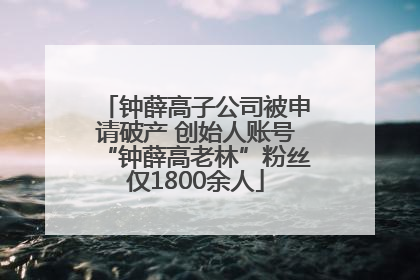 钟薛高子公司被申请破产 创始人账号“钟薛高老林”粉丝仅1800余人