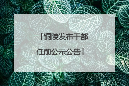 铜陵发布干部任前公示公告