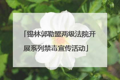 锡林郭勒盟两级法院开展系列禁毒宣传活动