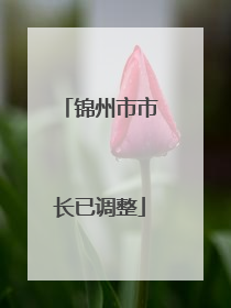 锦州市市长已调整