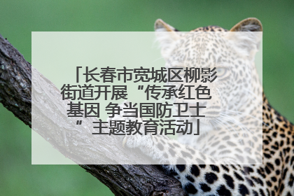 长春市宽城区柳影街道开展“传承红色基因 争当国防卫士”主题教育活动