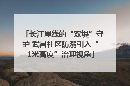 长江岸线的“双堤”守护 武昌社区防溺引入“1米高度”治理视角