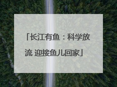 长江有鱼：科学放流 迎接鱼儿回家