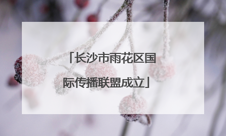 长沙市雨花区国际传播联盟成立